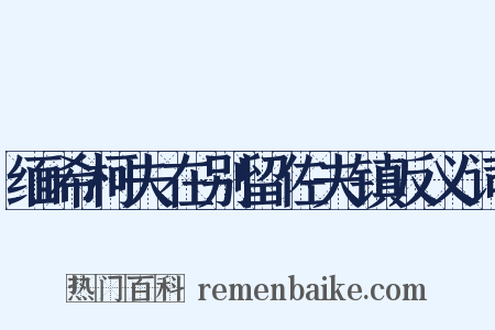 缅希柯夫在别留佐夫镇反义词是什么意思的图片